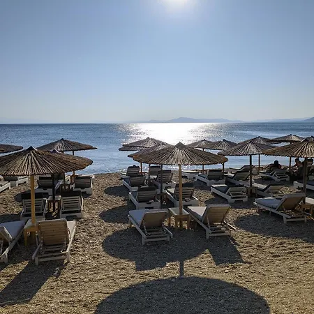 Sunlight Stonehouse Afétai